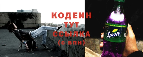 крисы Баксан