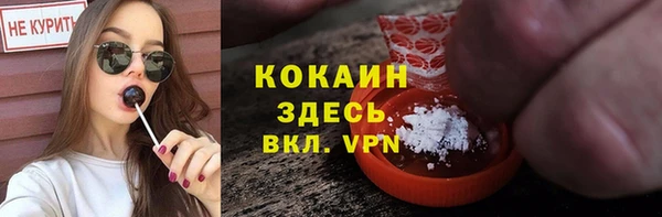 крисы Баксан