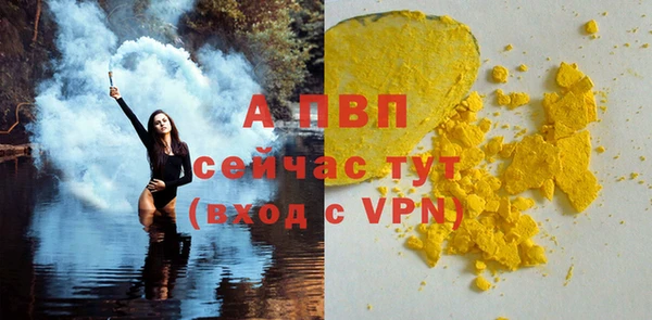 крисы Баксан