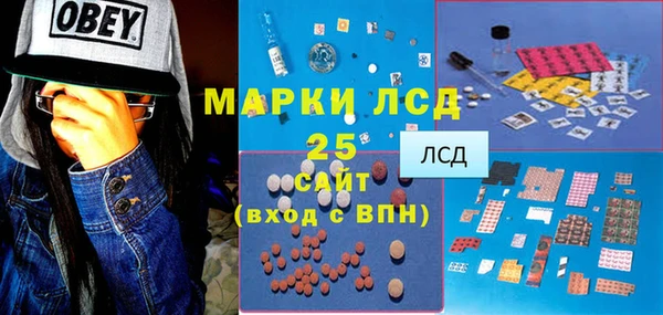 крисы Баксан