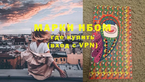 крисы Баксан