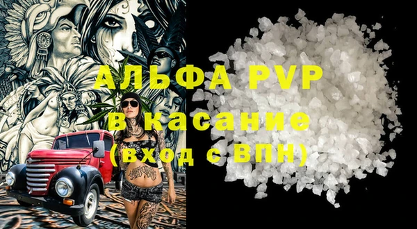 крисы Баксан