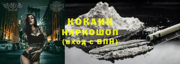 крисы Баксан