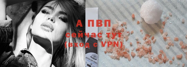 крисы Баксан