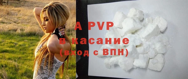 крисы Баксан