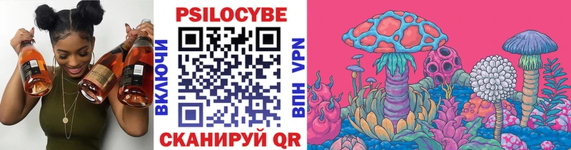 Галлюциногенные грибы Psilocybe  Нерюнгри 